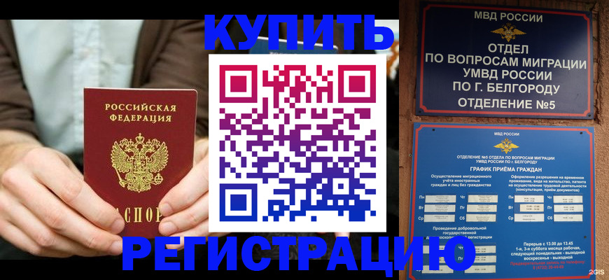 прописка 2025 в Борзе