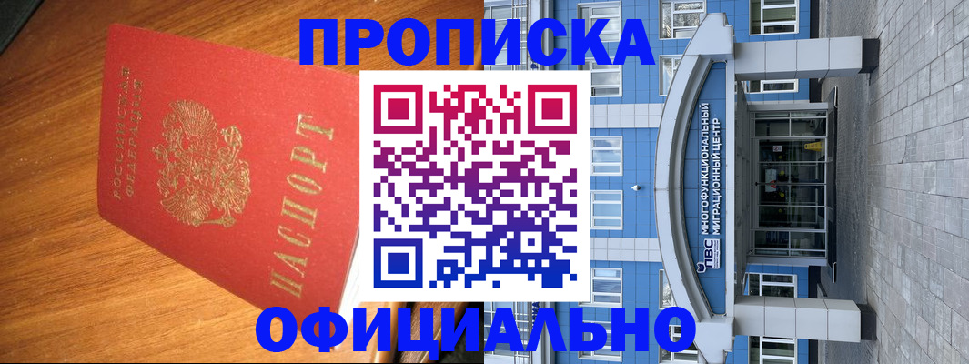 временная регистрация для школы в Борзе